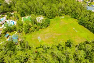 4557 Vermillion Sky Dr, Wesley Chapel, FL 33544 - Photo 48