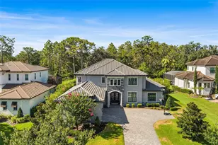 14704 Fishhawk Preserve Dr, Lithia, FL 33547 - Photo 2
