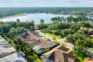 3969 Talah Dr, Palm Harbor, FL 34684 - Photo 12