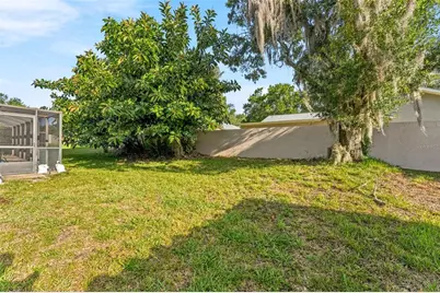 3969 Talah Drive, Palm Harbor, FL 34684 - Photo 6