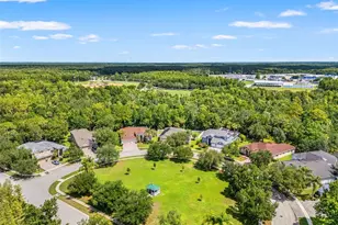 17308 Chenango Ln, Tampa, FL 33647 - Photo 60