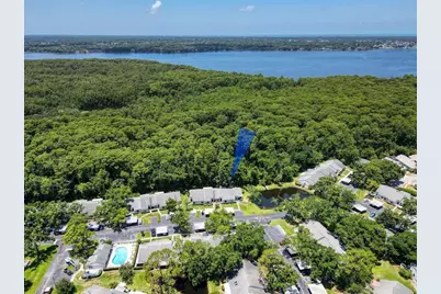 3454 Killdeer Place, Palm Harbor, FL 34685 - Photo 2