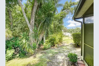 3454 Killdeer Place, Palm Harbor, FL 34685 - Photo 36