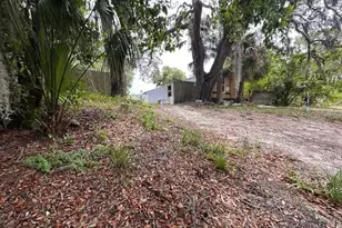 6631 Celeste Ln, New Port Richey, FL 34653 - Photo 32
