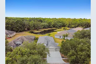 8208 Pinewood Run Court, Tampa, FL 33647 - Photo 58