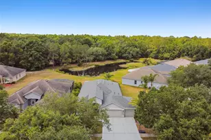 8208 Pinewood Run Ct, Tampa, FL 33647 - Photo 58