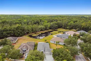 8208 Pinewood Run Ct, Tampa, FL 33647 - Photo 62