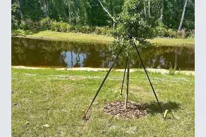 17649 Nectar Flume Drive, Land O Lakes, FL 34638 - Photo 50