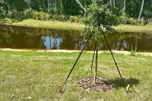 17649 Nectar Flume Dr, Land O Lakes, FL 34638 - Photo 50