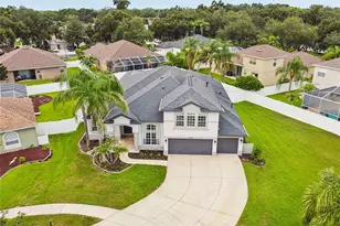 3102 White Pheasant Pl, Valrico, FL 33596 - Photo 66