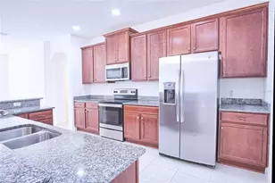 11619 Iris Spring Ct, Riverview, FL 33579 - Photo 4