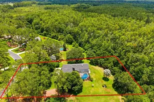 418 Pine Bluff Dr, Lutz, FL 33549 - Photo 48