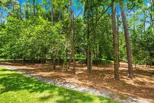 418 Pine Bluff Dr, Lutz, FL 33549 - Photo 52