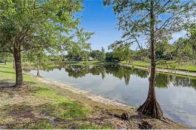 8152 Lagerfeld Drive, Land O Lakes, FL 34637 - Photo 42