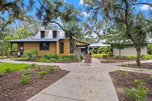 6334 Knob Tree Dr, Lithia, FL 33547 - Photo 64