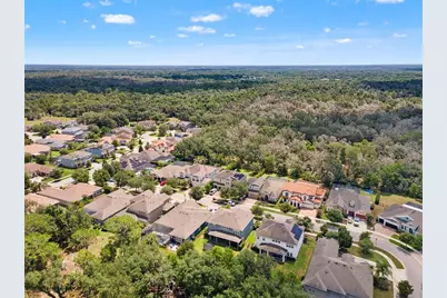 6334 Knob Tree Drive, Lithia, FL 33547 - Photo 8