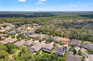 6334 Knob Tree Dr, Lithia, FL 33547 - Photo 8
