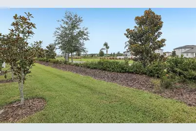 31337 Amberview Bend, Wesley Chapel, FL 33545 - Photo 20