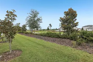 31337 Amberview Bnd, Wesley Chapel, FL 33545 - Photo 20