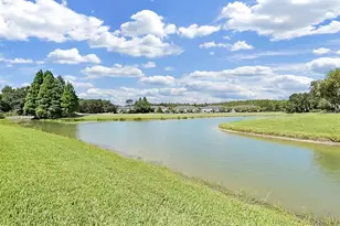 18126 Paradise Point Dr, Tampa, FL 33647 - Photo 38