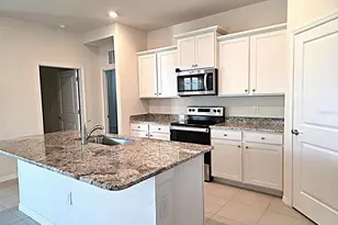 3908 Mossy Limb Ct, Palmetto, FL 34221 - Photo 2