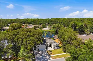 4149 Ridgemoor Dr N, Palm Harbor, FL 34685 - Photo 50