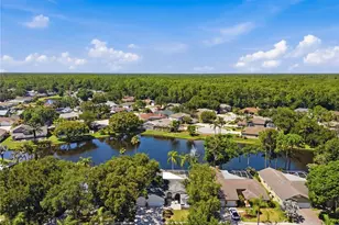 4149 Ridgemoor Dr N, Palm Harbor, FL 34685 - Photo 52