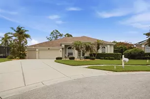 25651 Ferdinand Ct, Wesley Chapel, FL 33544 - Photo 66