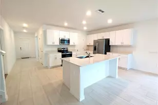 10171 Boger Rnch Ct, Wesley Chapel, FL 33545 - Photo 6