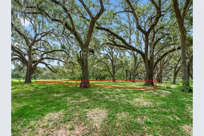 Lot 12 Cr 543, Bushnell, FL 33513 - Photo 12