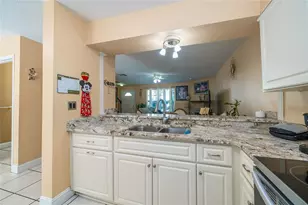 14015 Lemon Valley Pl, Tampa, FL 33625 - Photo 4