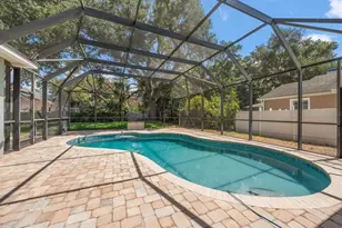 1131 Virginia Ave, Palm Harbor, FL 34683 - Photo 2