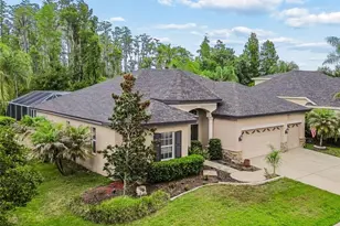 23305 Gracewood Cir, Land O Lakes, FL 34639 - Photo 46