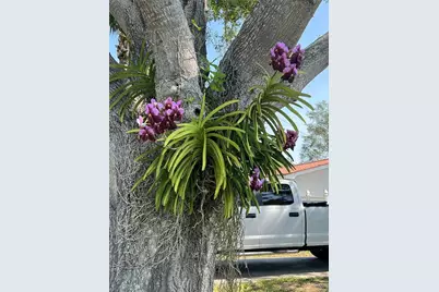 4201 Des Moines Street NE, Saint Petersburg, FL 33703 - Photo 26