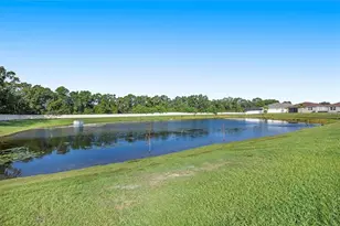 10452 Laguna Plains Dr, Riverview, FL 33578 - Photo 20
