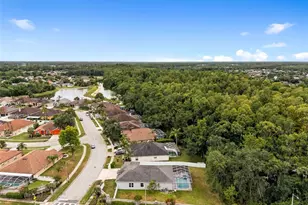 29432 Forest Glen Dr, Wesley Chapel, FL 33543 - Photo 80