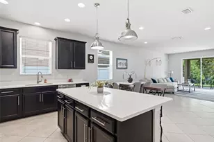 21613 Southern Charm Dr, Land O Lakes, FL 34637 - Photo 8