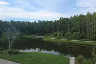 2413 Gathering Way, Odessa, FL 33556 - Photo 26