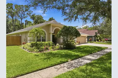 10522 Chambers Drive, Tampa, FL 33626 - Photo 2