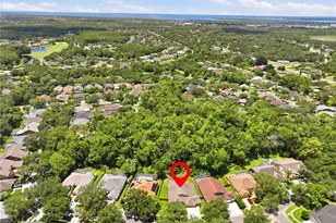 10522 Chambers Dr, Tampa, FL 33626 - Photo 52