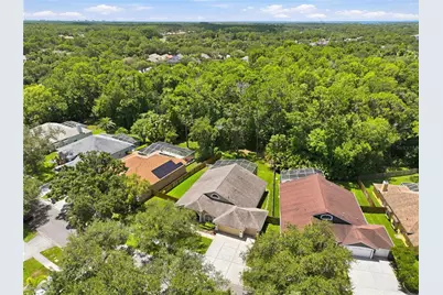 10522 Chambers Drive, Tampa, FL 33626 - Photo 50