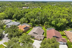 10522 Chambers Dr, Tampa, FL 33626 - Photo 50