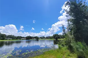 708 Warren Rd, Lutz, FL 33548 - Photo 4