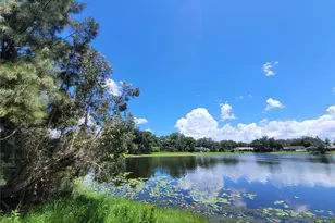708 Warren Rd, Lutz, FL 33548 - Photo 6