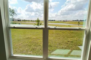 32813 Osprey Peak Wy, San Antonio, FL 33576 - Photo 12