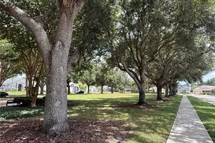 2418 Rosehaven Dr, Wesley Chapel, FL 33544 - Photo 30