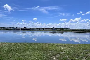 11669 Stone Pine St, Riverview, FL 33569 - Photo 42