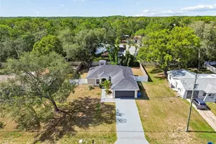 6163 Piedmont Dr, Spring Hill, FL 34606 - Photo 62