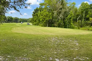 17422 Heather Oaks Pl, Tampa, FL 33647 - Photo 68