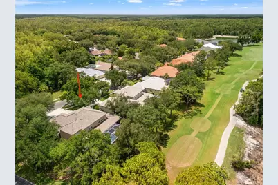 17422 Heather Oaks Place, Tampa, FL 33647 - Photo 4